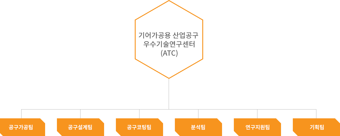 organization